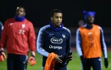 L'attaquant français Alassane Pléa au centre national du football de Clairefontaine, le 17 novembre 2018