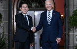 Le président américain Joe Biden (d) accueille le Premier ministre japonais Fumio Kishida, le 21 septembre 2024 à Wilmington, dans le Delaware