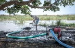 Un homme répare un tuyau relié à un générateur qui pompe l'eau du lac Dembel vers l'un des nombreux champs cultivés le long de ses rives, le 20 mai 2025 à Batu, en Ethiopie