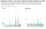 Baignade en Seine : aucun point n'atteint la qualité "suffisante" en 2023