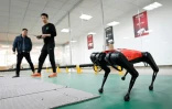 Des ingénieurs font évoluer un robochien baptisé AlphaDog, dans l'atelier de l'entreprise Weilan, à Nankin, le 2 avril 2021