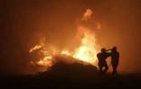 Des pompiers luttent contre les feux de  Pietracorbara en Corse le 11 août 2017