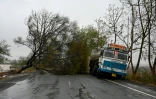 Un arbre en travers d'une route après le passage du cyclone Tauktae près de Diu, le 18 mai 2021 en Inde