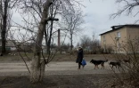 Raïssa marche dans une rue de Bilytske, un sac en plastique rempli de poulet cru à la main, suivie par des chiens errants affamés, le 13 mars 2025 dans la région de Donetsk, en Ukraine