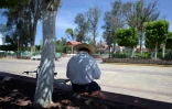 Un homme assis à l'ombre d'un arbre à Tepatepec, ville natale de la candidate de l'opposition à la présidentielle, Xochitl Galvez, le 21 mai 2024 au Mexique
