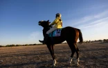 Un jockey détend son cheval avant de participer à la première course de chevaux de la saison à l'hippodrome de Biligoni, le 30 novembre 2024 au Tchad