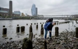 Lara Maiklem, une "mudlark" (littéralement "fouilleuse de boue"), recherche des objets perdus sur les rives du fleuve Thames à Londres, le 29 mai 2019.