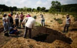 Des néoruraux viennent se former à la ferme du Bec-Hellouin, et apprennent à travailler la terre, ici le 25 mai 2018