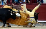 Un picador tombe de son cheval pendant la feria San Isidro, dans l'arène de Las Ventas à Madrid, le 15 mai 2019