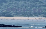 Vu depuis les îles taïwanaises de Kinmen, un slogan géant prône la réunification sur une plage de Xiamen, en Chine continentale, le 10 août 2022