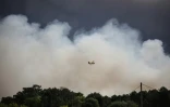 Un Canadair près de l'incendie qui ravage la forêt de la Teste-de Buch, en Gironde, le 14 juillet 2022