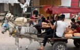 Des gens transportent du pain sur des charrettes tirées par des ânes dans la ville de Gaza, le 28 octobre 2023 