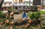 Des arbres abattus par le cyclone Batsirai dans un square d'Antsirabe, le 6 février 2022 à Madagascar