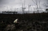Un employé de l'ONF observe une zone ravagée par le feu durant l'été 2022 à Hostens, en Gironde, le 21 mars 2023