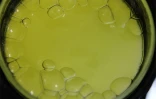 Micro algues