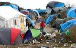 Des migrants parmi les tentes de la "New Jungle" à Calais, le 12 novembre 2015