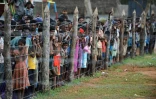 Des civils tamouls déplacés durant le conflit séparatiste au Sri Lanka, le 29 avril 2009 au camp de Kadirgamh à Cheddikulam dans le Nord du Sri Lanka