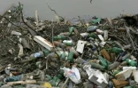 Des bouteilles en plastique échouées sur la rive du fleuve Tiete, à Sao Paulo, au Brésil, le 30 janvier 2008