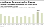 La déforestation en Amazonie colombienne