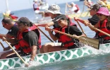 Dimanche 9 Mai 2010

Les &quot;dragon boat&quot; au Port