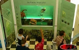 Exposition sur la biodiversité au muséum d'histoire naturelle du jardin de l'État à Saint-Denis (Archives)