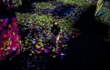 Une membre du collectif japonais teamLab au milieu d'un paysage de fleurs lumineuses, le 1er mai 2018 au Mori Building Digital Art Museum à Tokyo