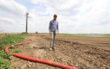 Adrien Mastain, maraîcher, marche le long d'un champ sec qu'il devra irriguer pour faire pousser ses légumes, à Carnin (Nord) le 20 mai 2025