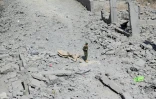 Un combattant houthi dans les décombres d'un immeuble à Sanaa après un bombardement, le 27 avril 2025