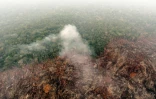 Vue d'une zone déboisée et brûlée de la forêt amazonienne dans la région de Labrea, Etat d'Amazonas, dans le nord du Brésil, le 2 septembre 2022