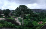 Une vue générale de la végétation sur les collines d'Idanre au Nigéria, le 25 août 2018