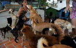 Noris Perez avec des chiens qu'elle a recueillis chez elle, le 29 septembre 2020 à La Havane, à Cuba