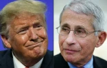Donald Trump et Anthony Fauci, qui au début de la pandémie se parlaient tous les jours, ne se sont plus vus en tête à tête depuis début juin