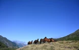 Des chevaux dans le parc naturel de Somiedo, le 29 août 2019 dans le nord de l'Espagne