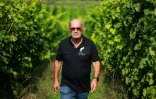 Le vigneron Manfred Lindicke dans les rangs de sa vigne, le 9 septembre 2025 à Werder, dans le nord de l'Allemagne 