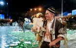 Un acteur et une vache lors de la répétition du spectacle de la Fête des vignerons, le 16 juillet 2019 à Vevey en Suisse