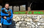 Le 28 mars 2017 à Blisna au Monténégro, Miljan Milickovic ingénieur de 31 ans et passionné d'animaux porte dans ses bras Masha et Brundo qu'il a installés dans sa propriété, aussi proches que possibles de la vie sauvage