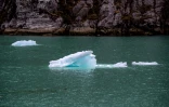 Des icebergs flottent dans les eaux du fjord Seno Ballena, le 7 décembre 2018
