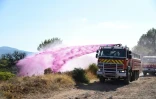 Les pompiers répandent du retardant le 19 août 2021 au Luc, dans le Var
