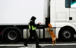 Un chien des douanes renifle un camion le 1er janvier 2021 au port de Calais