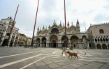 Un promeneur Enrico Facchetti avec son chien traverse la place Saint-Marc déserte, le 13 mai 2020