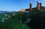 Un homme, membre du club "Jeunesse accumulée", nage dans une piscine d'eau de mer à La Havane, le 17 mai 2025