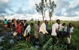 

Funérailles à Beira, au Mozambique, le 20 mars 2019 après le passage du cyclone Idai
