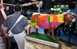 Un modèle de boeuf montrant les différentes découpes de la viande au Salon de l'agriculture à Paris en février 2018