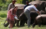 Le Prince William et sa femme Catherine nourrissent des bébés éléphants au Centre for Wildlife Rehabilitation and Conservation (CWRC) à Kaziranga, dans l'Etat indien d'Assam le 13 avril 2016