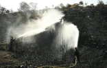Des pompiers tentent d'éteindre les braises du gigantesque incendie dans l'Aude, le 9 août 2025 à Albas