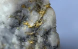 Un morceau de quartz avec des dépôts d'or provenant de la mine de Clogau-St David's, le 27 mars 2025