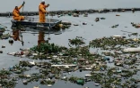 Débris flottant à l'entrée de la baie de Guanabara à Rio de Janeiro, le 20 juillet 2016