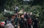 Des villageois fuient Bambo, dans l'est de la RDC, en raison d'une attaque des rebelles du M23, le 26 octobre 2023