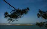 Vue du banc d'Arguin, îlot "mouvant" de sable près d'Arcachon, en Gironde, le 20 avril 2026