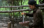 Le soigneur Zaheer Ahmed prépare une boisson de réhydratation pour les oiseaux au Centre de sauvetage Margallah à Islamabad, le 7 juillet 2026 au Pakistan